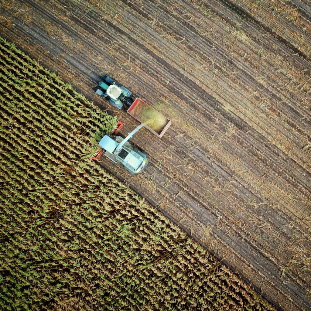 two trucks on plant field